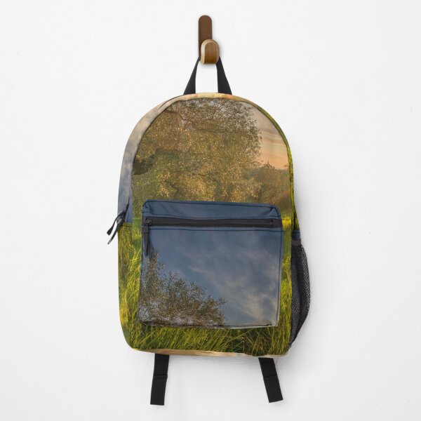 Item preview, Olive grove in Alta Maremma. Tuscany, Italy designed and sold by Stefano Orazzini.