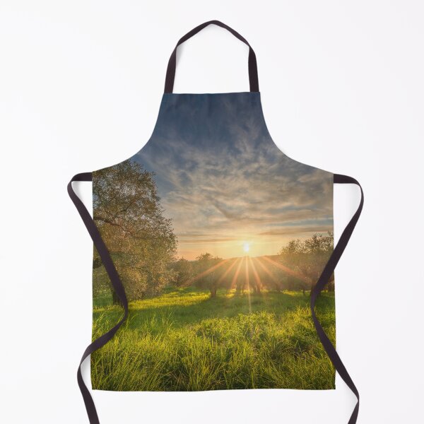 Item preview, Olive grove in Alta Maremma. Tuscany, Italy designed and sold by Stefano Orazzini.