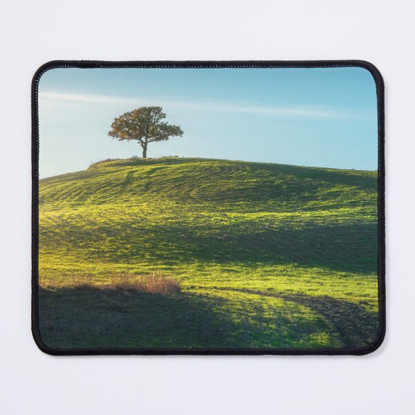 Item preview, Lone tree on top of a hill in Tuscany, Italy designed and sold by Stefano Orazzini.