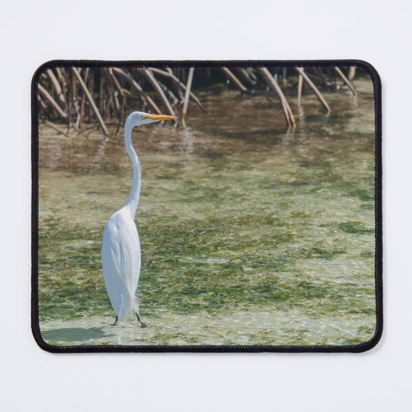 Item preview, Elegant Great Egret designed and sold by Kasia Design.