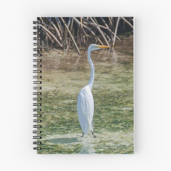 Item preview, Elegant Great Egret designed and sold by Kasia Design.