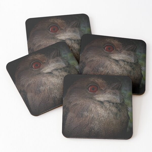 Item preview, Papuan Frogmouth designed and sold by col hellmuth.