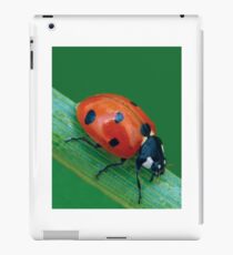LADYBUG 30 iPad Case/Skin