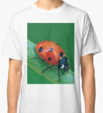 LADYBUG 30 Classic T-Shirt