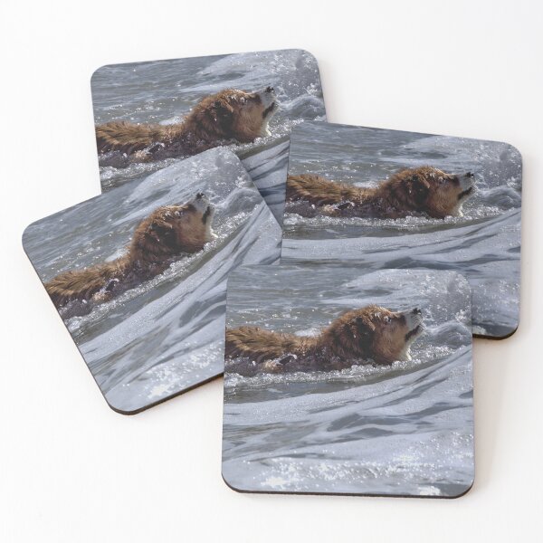 Item preview, Surf’s Up: Canine Joy  designed and sold by Armadillo222.