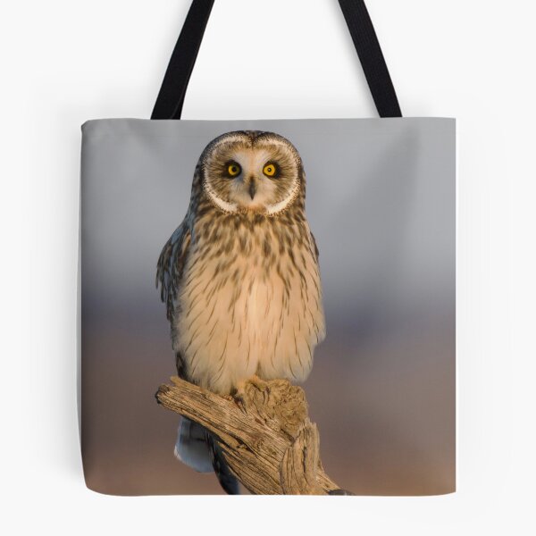 Item preview, Short-eared Owl designed and sold by Erin LeFevre-Josephs.
