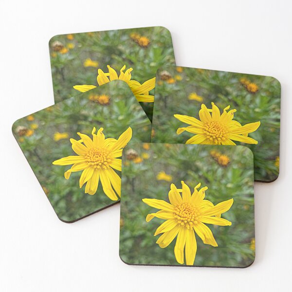 Item preview, Beauty Doesn't Ask for Permission designed and sold by Betsy Phillips.