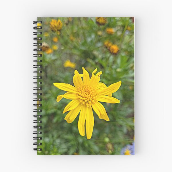 Item preview, Beauty Doesn't Ask for Permission designed and sold by Betsy Phillips.
