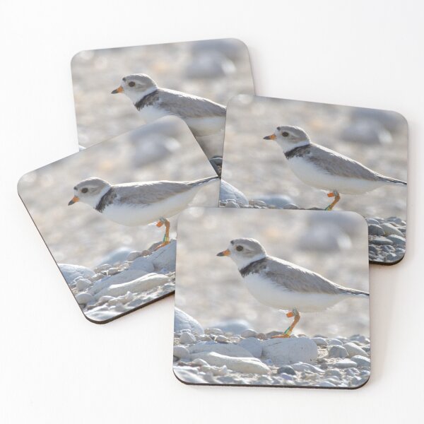 Item preview, Piping plover  designed and sold by Erin LeFevre-Josephs.