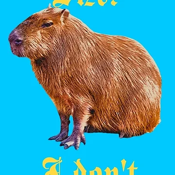 Artwork thumbnail, Capybara ROS by LisaMPierce1990