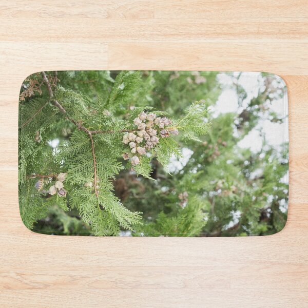 Item preview, Fragrant Cedar Branch Adorned with Cones designed and sold by Georgia Mizuleva.