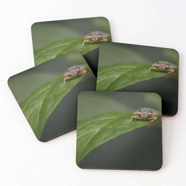Item preview, Toad Bug designed and sold by robdwildlife.