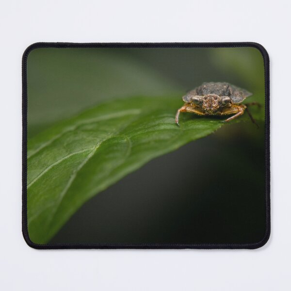 Item preview, Toad Bug designed and sold by robdwildlife.