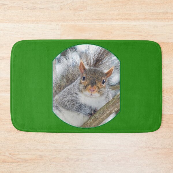 Item preview, Squirrel in a Tree designed and sold by MLJM_Photography.