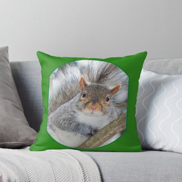 Item preview, Squirrel in a Tree designed and sold by MLJM_Photography.