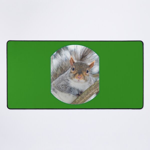 Item preview, Squirrel in a Tree designed and sold by MLJM_Photography.