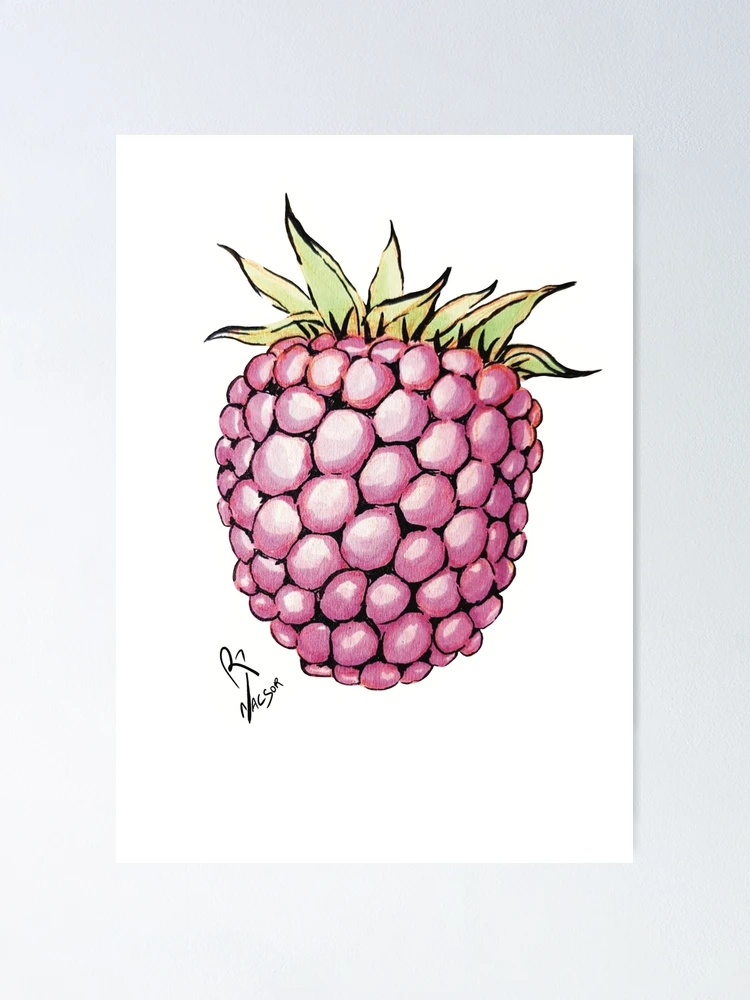 Thumbnail 1 of 3, Poster, Little Rasberry designed and sold by Nacsor.