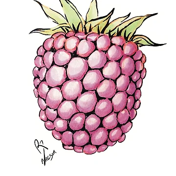 Artwork thumbnail, Little Rasberry by Nacsor