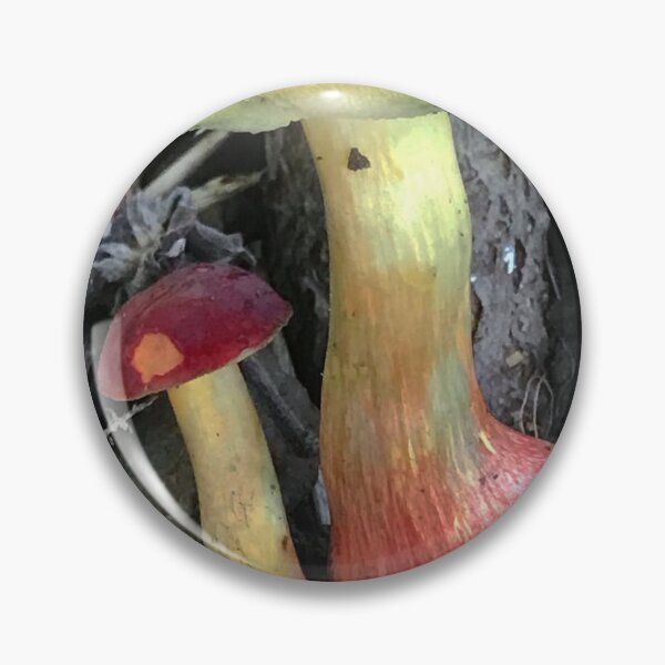Item preview, Scientific Tottenham Hotspur Fc bMushroom Study designed and sold by Mitchmount.