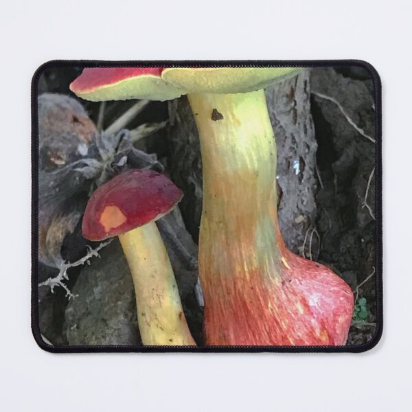 Item preview, Scientific Tottenham Hotspur Fc bMushroom Study designed and sold by Mitchmount.