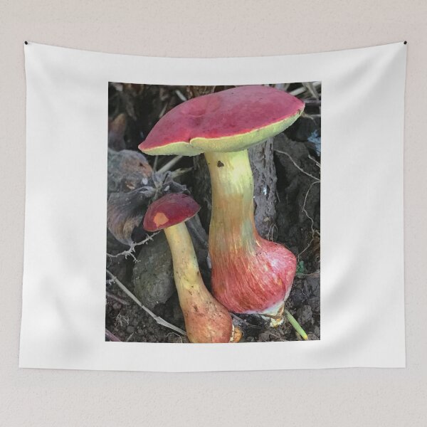Item preview, Scientific Mushroom Study designed and sold by Mitchmount.