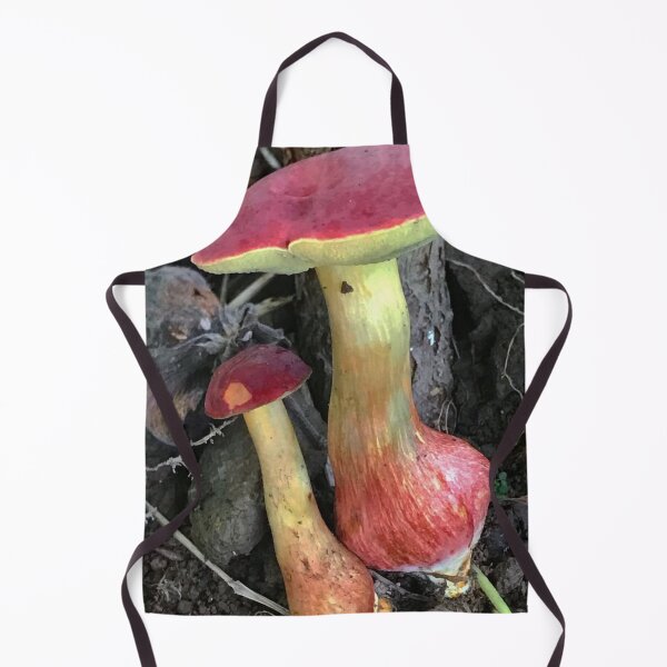 Item preview, Scientific Mushroom Study designed and sold by Mitchmount.