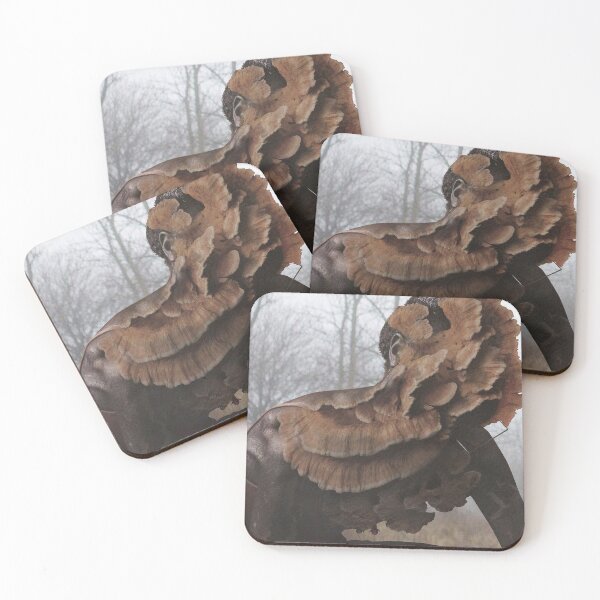 Item preview, Earthy Racing Development Mushroom Aesthetic designed and sold by Mitchmount.