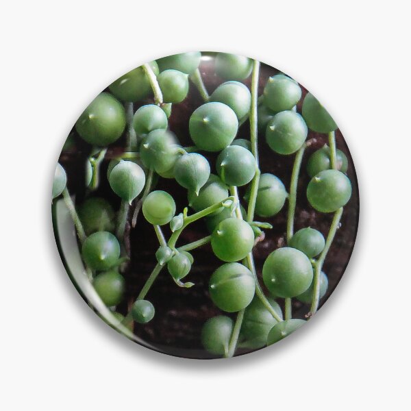 Item preview, String of Pearls designed and sold by heatherfriedman.