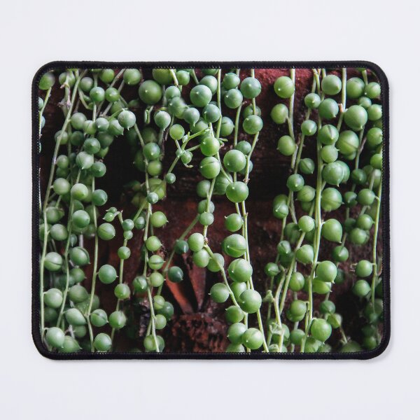 Item preview, String of Pearls designed and sold by heatherfriedman.