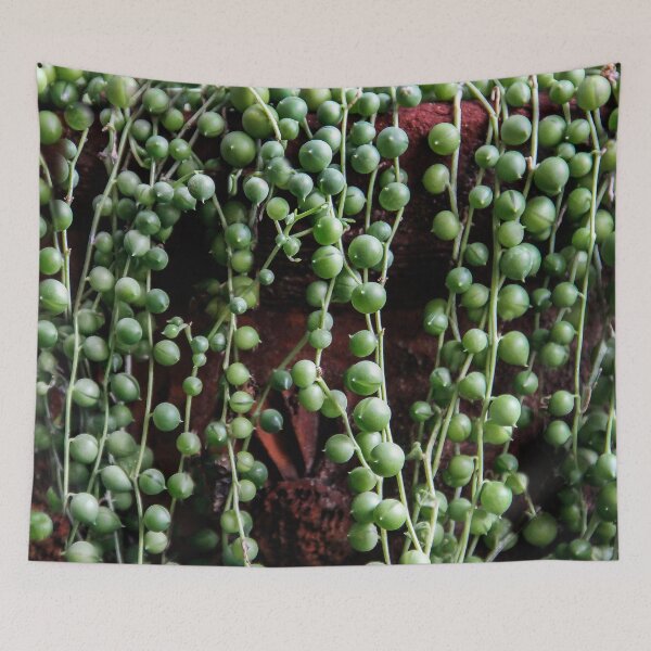 Item preview, String of Pearls designed and sold by heatherfriedman.