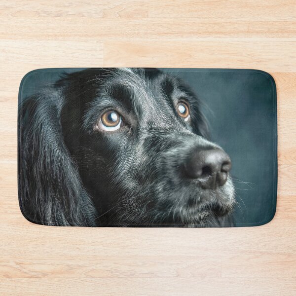 Item preview, Blue Picardy Spaniel Portrait designed and sold by Elisabeth Lucas.