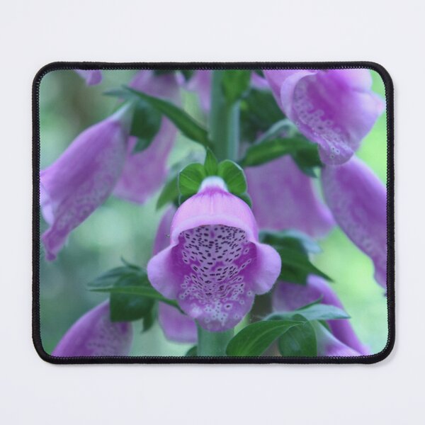 Item preview, Purple flowers designed and sold by neta98.