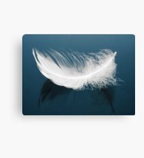 Floating Feather Canvas Print