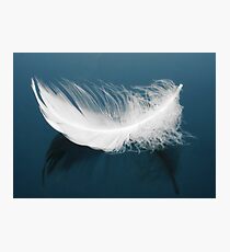 Floating Feather Photographic Print
