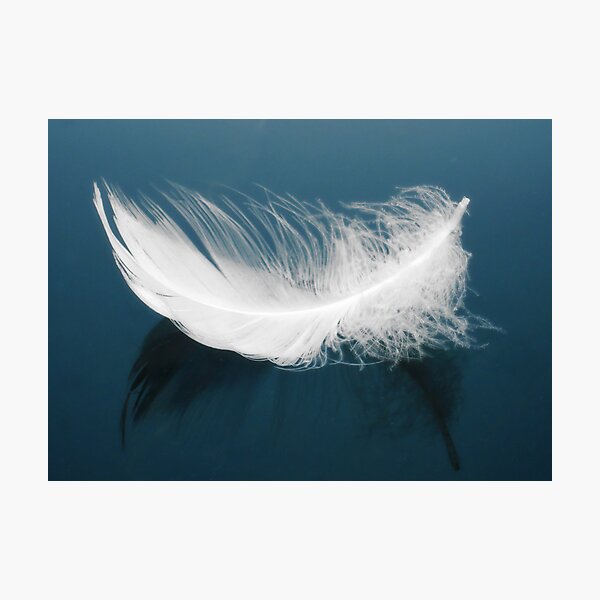 Floating Feather Hd Transparent, White Fluff Feather Float White