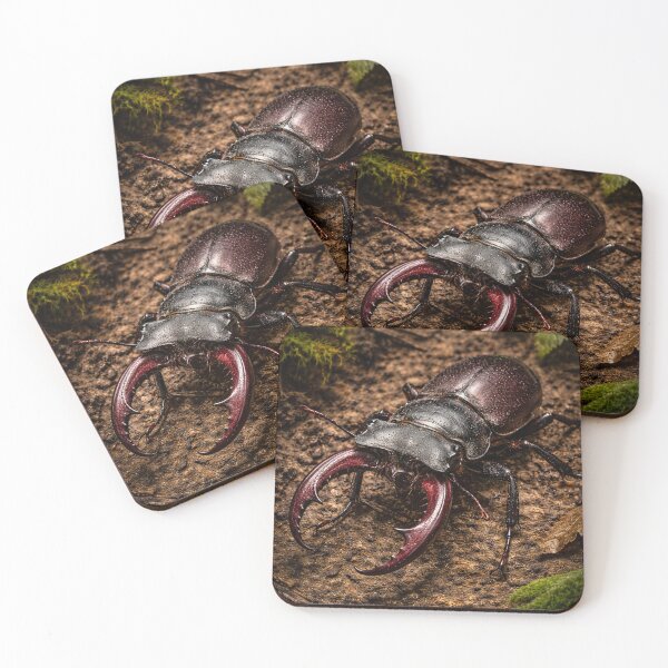 Item preview, Stag Beetle on Forest Floor – Dark Macro Insect Nature designed and sold by NocturnalNook.