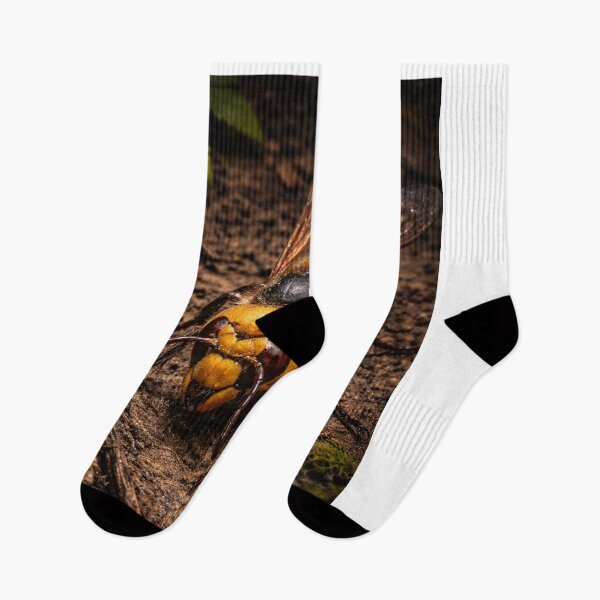 Item preview, Japanese Giant Hornet – Dark Macro Insect Forest Floor designed and sold by NocturnalNook.