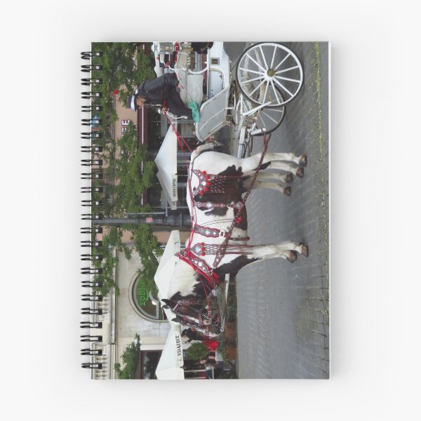 Item preview, Horses & Carriage, Krakow, Poland designed and sold by wiggyofipswich.