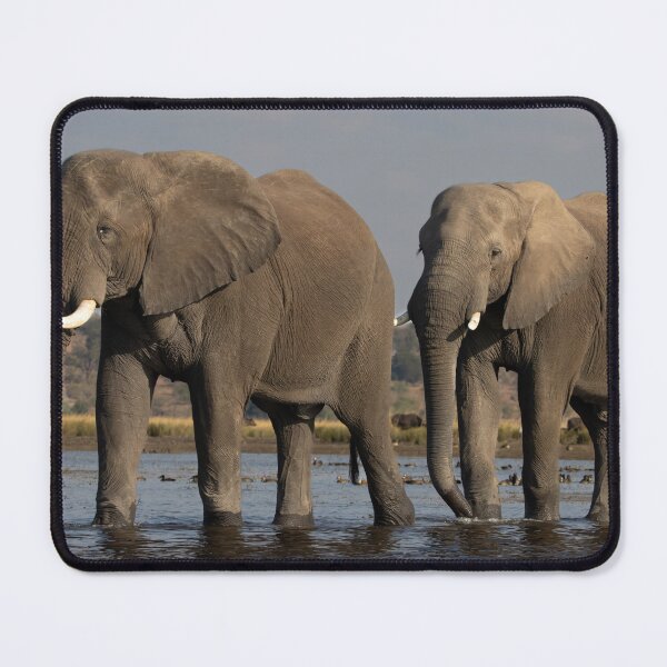 Item preview, Elephant Walk designed and sold by Paul McFarlane.
