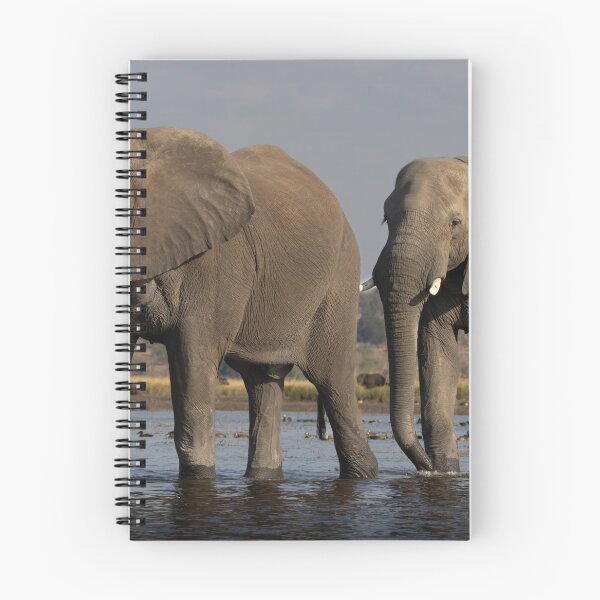 Item preview, Elephant Walk designed and sold by Paul McFarlane.