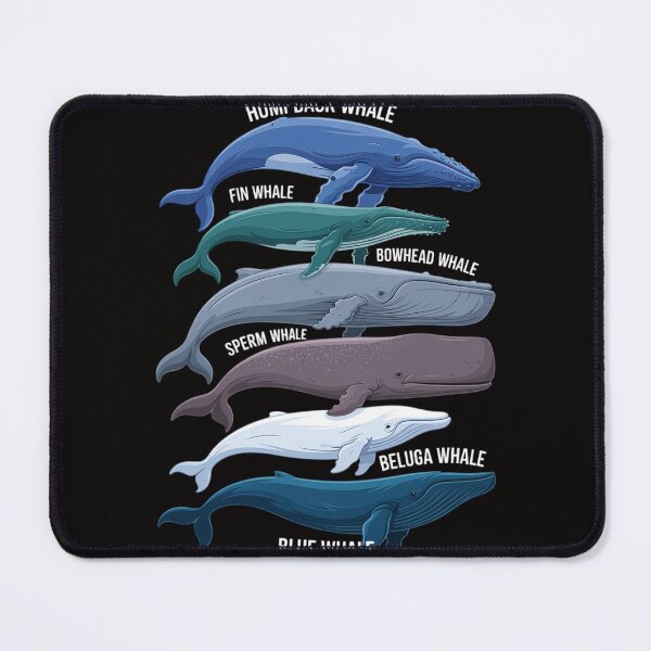 Item preview, 9 Types of Whales - Whale Breeds Species - Whale Lover designed and sold by chaeningplan.