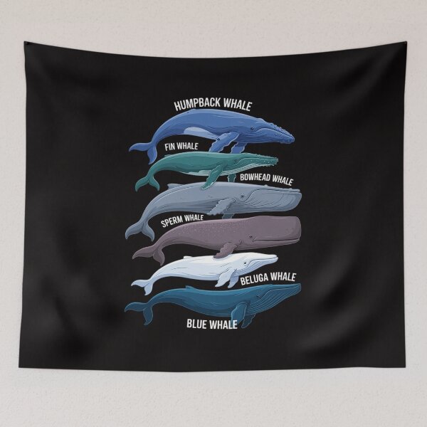 Item preview, 9 Types of Whales - Whale Breeds Species - Whale Lover designed and sold by chaeningplan.