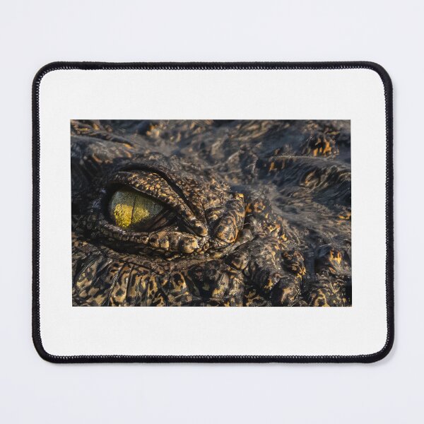 Item preview, Under the watchful eye of Mr Crocodile designed and sold by Paul McFarlane.