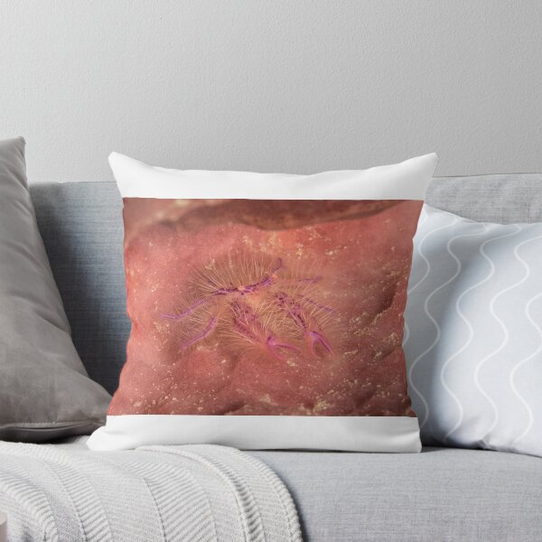 Item preview, Hairy Squat Lobster designed and sold by Mark Rosenstein.