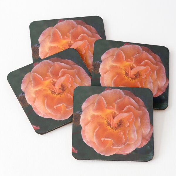 Item preview, Orange Rose designed and sold by AnalogDays.