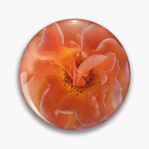 Artikelvorschau, Orange Rose entworfen und verkauft von AnalogDays.