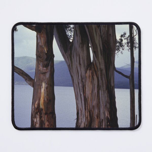 Item preview, Eucalyptus 1970s designed and sold by AnalogDays.