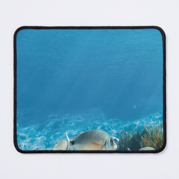Item preview, Serene Underwater Scene – Tropical Fish in Clear Blue Ocean Water designed and sold by Tropical Blood.