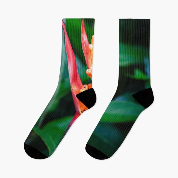 Item preview, A vibrant tropical flower in the heart of the jungle designed and sold by franck380.