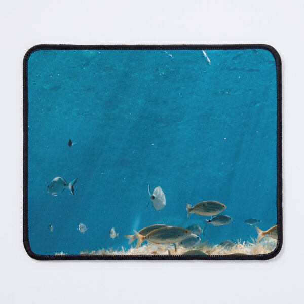 Item preview, Mediterranean Fish School Underwater – Blue Ocean Seabed Photography designed and sold by Tropical Blood.